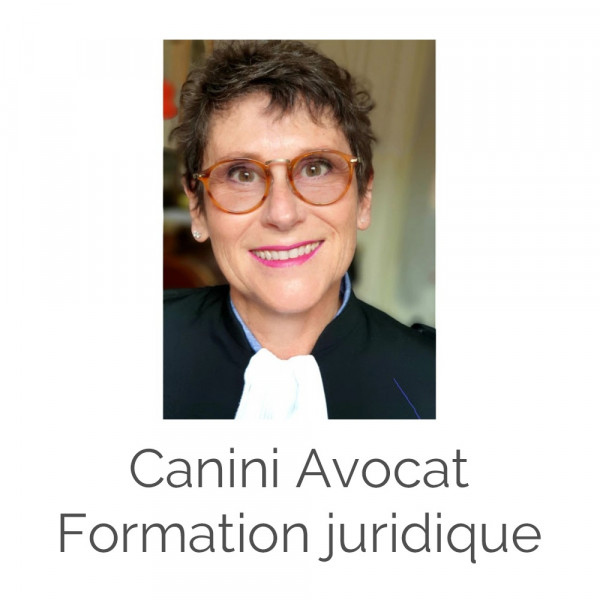 Canini Avocat – Formation Juridique Image 1