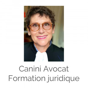 Canini Avocat – Formation Juridique